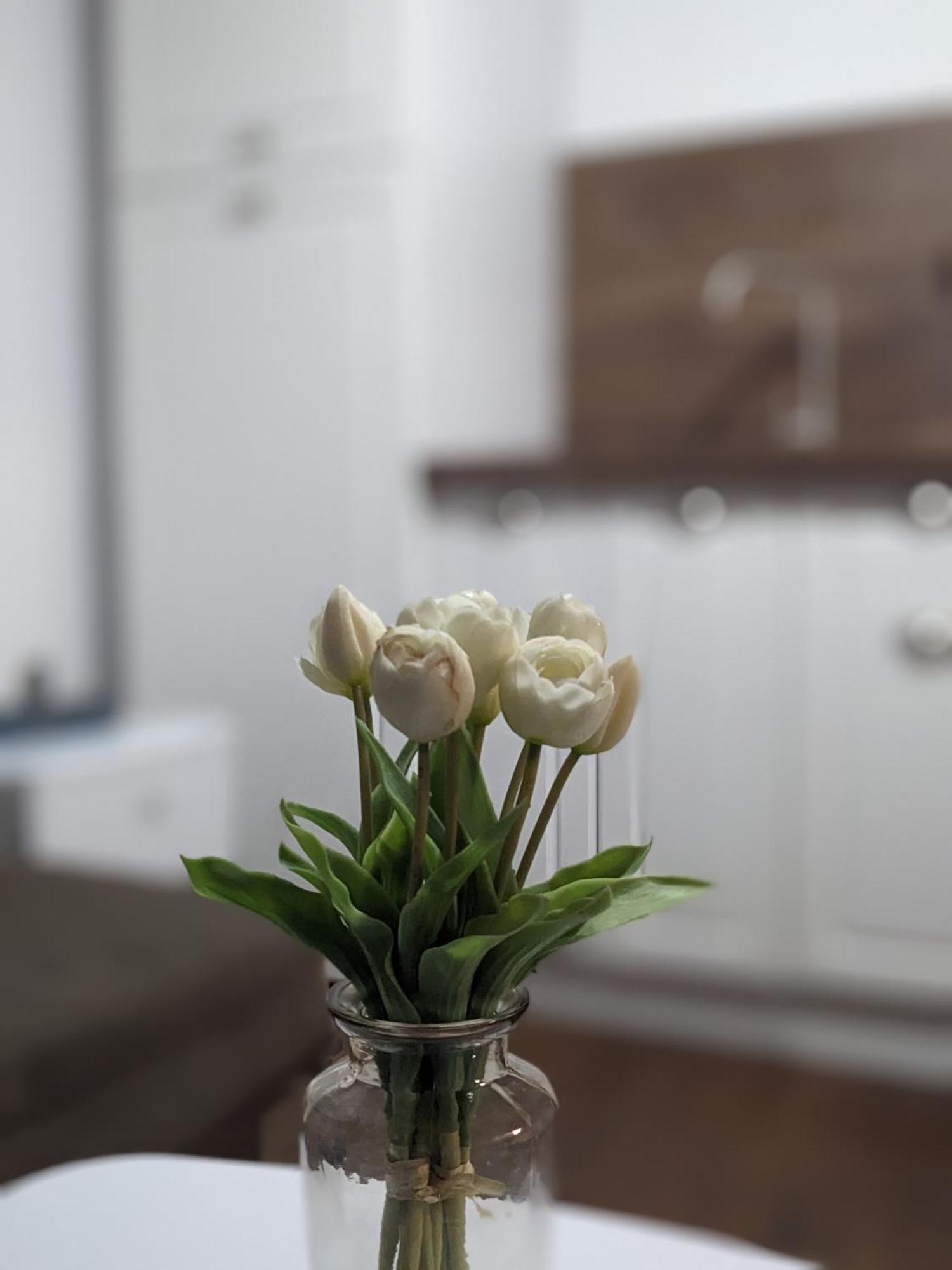 Honey I'M Home Apartments Велико-Тырново Экстерьер фото